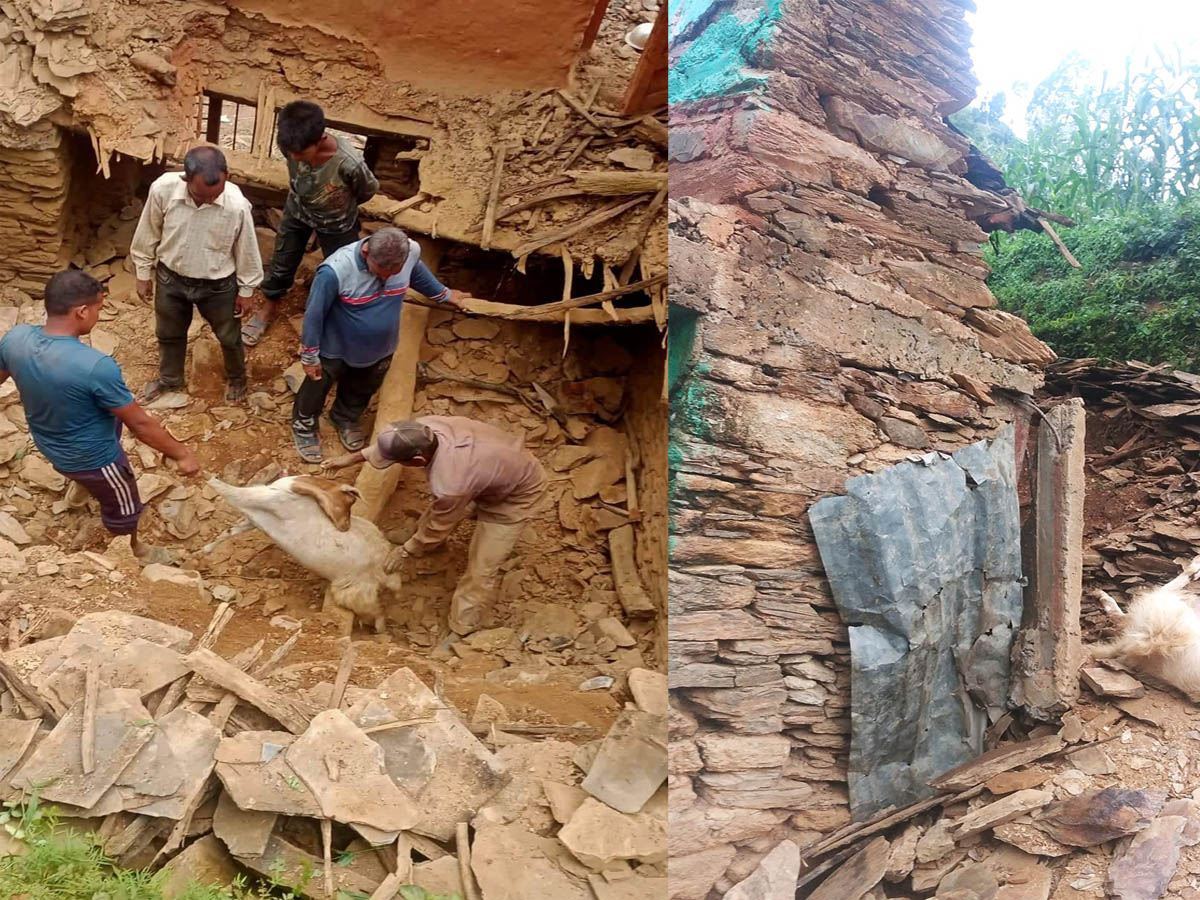 बैतडीमा लगातारको वर्षाले  घर भत्कीयो,  पिडीत  परिवारको तिरपालमुनि बास